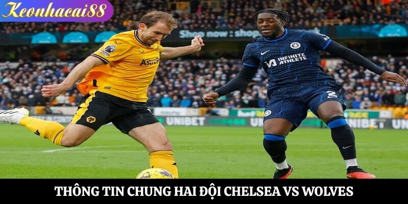 Thông tin chung hai đội Chelsea vs Wolves