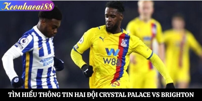 Tìm hiểu thông tin hai đội Crystal Palace vs Brighton