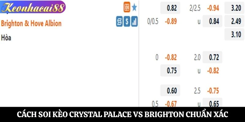 Cách soi kèo Crystal Palace vs Brighton chuẩn xác