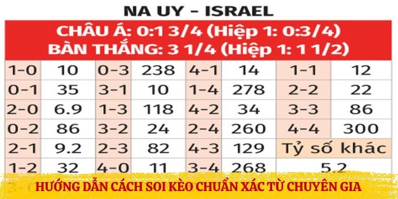 Hướng dẫn cách soi kèo chuẩn xác từ chuyên gia
