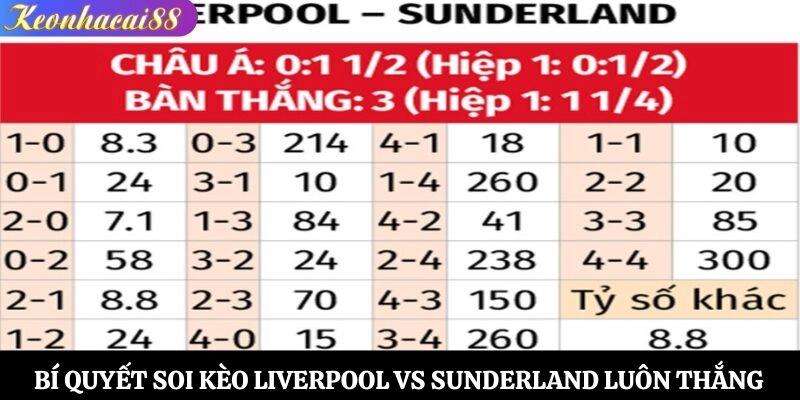 Bí quyết soi kèo Liverpool vs Sunderland luôn thắng