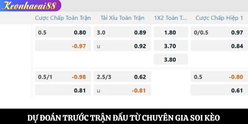 Dự đoán trước trận đấu từ chuyên gia soi kèo