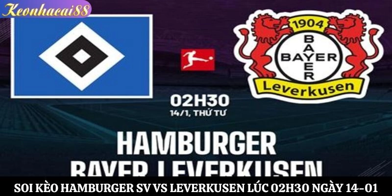 Soi Kèo Hamburger SV vs Leverkusen Lúc 02h30 Ngày 14-01